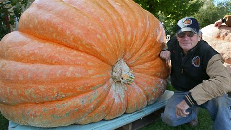 Growers Compete For Bragging Rights With Giant Pumpkins
