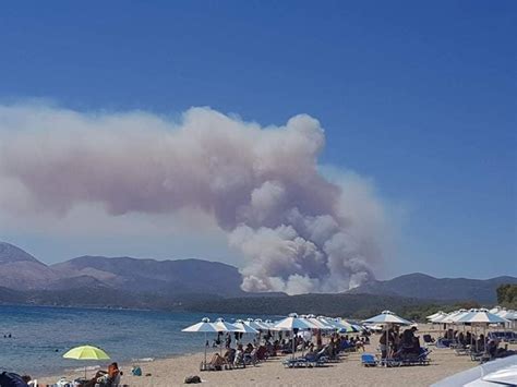 Αυτή τη στιγμή στο σημείο επιχειρούν. Φωτιά ΤΩΡΑ στη λακωνική Μάνη - fotia tora sti lakoniki mani