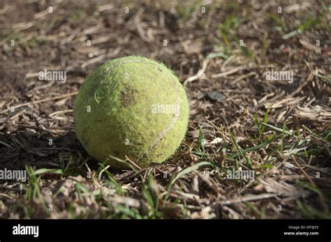 Picture Of An Old Used Tennis Ball On The Ground Surrounded By Dirt