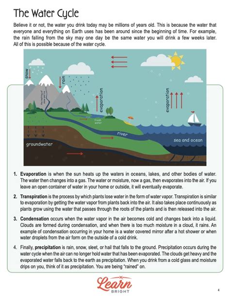 Water Cycle Free Pdf Download Learn Bright