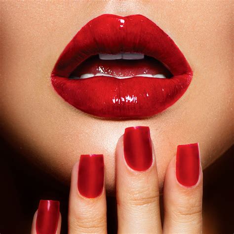 Cheetah Pompano | Pompano Beach FL