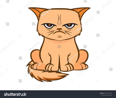 25548 Angry Cat Vectors Images Stock Photos And Vectors Shutterstock
