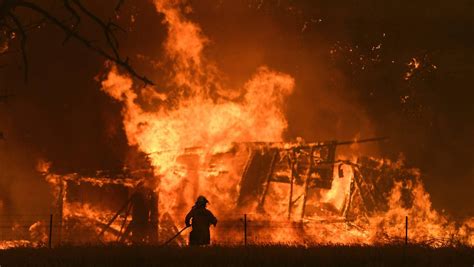 More Than 900 Homes Destroyed In New South Wales Bushfires