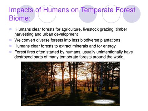 Ppt The Temperate Forest Biome Powerpoint Presentation Free Download