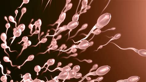 A Shortage Of Sperm Donors The Brexit Dilemma We Didnt See Coming