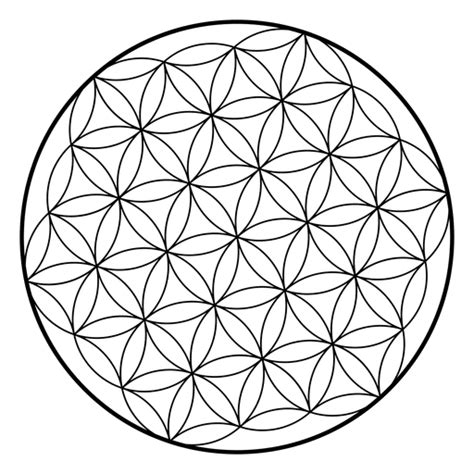 Flower Life Sacred Geometry Png Image Download As Svg Vector