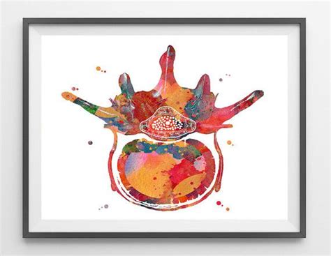 Start studying shape of vertebrae. Lumbar 4 vertebra print anatomy art poster vertebra view ...