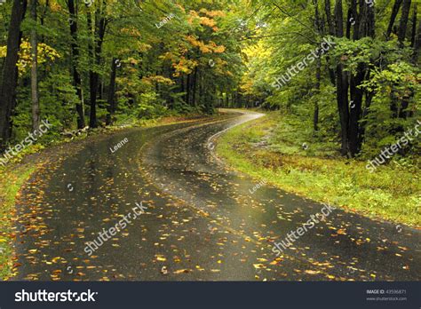 Winding Road Through The Forest Stock Photo 43596871 Shutterstock