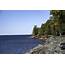 Shoreline Landscape With Water And Trees At Presque Isle Image  Free