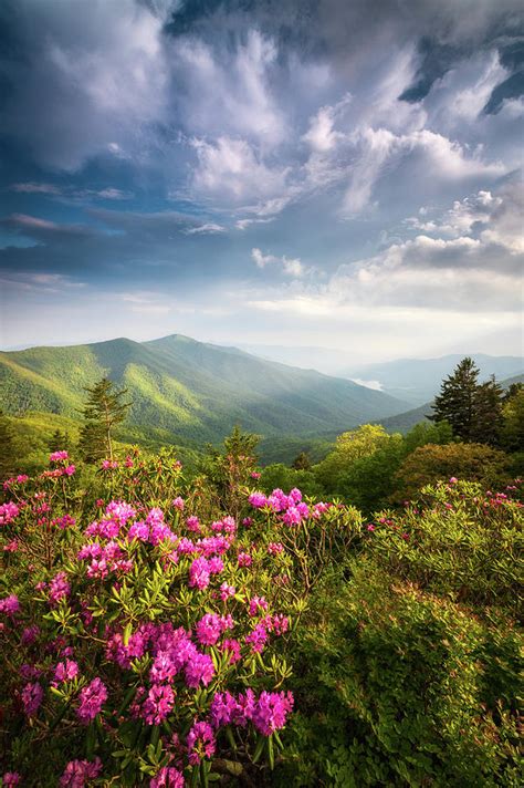 North Carolina Blue Ridge Parkway Asheville Nc Mountains Landscape