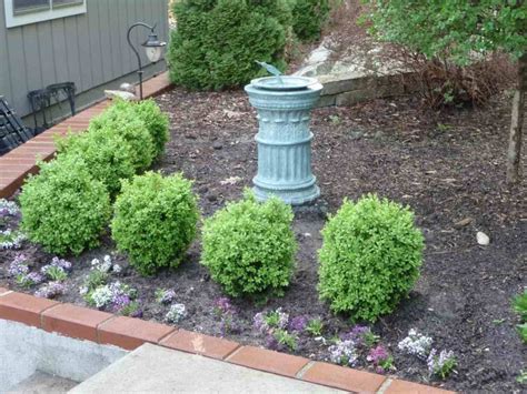 Small Dwarf Native Trees For Landscaping — Randolph Indoor And Outdoor