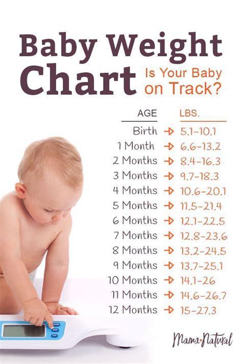 By 8 months, most babies have mastered the pincer grasp and have the coordination to take objects into their you can refer our 10 month old and 11 month old food charts for more details on the different foods your baby can eat. How much does a 7 month old weigh ALQURUMRESORT.COM