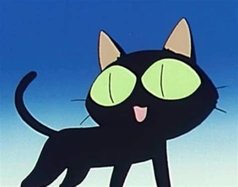 Share 143 Anime With Black Cat Latest Dedaotaonec