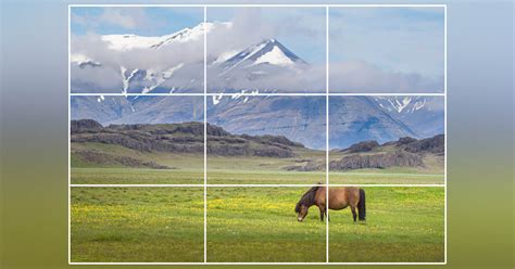 Rule Of Thirds In Photography A Complete Guide Adanobi Studios