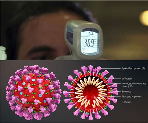 After losing its initial grip on covid, australia is again being hailed as a global success story. (COVID-19) Coronavirus Scanning - Security Guards Melbourne