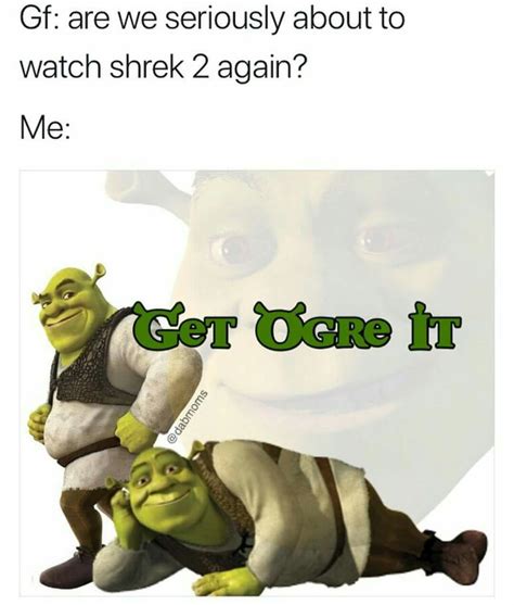 Pin By Celeste Nevil On Memes Edgy Memes Shrek Memes Shrek