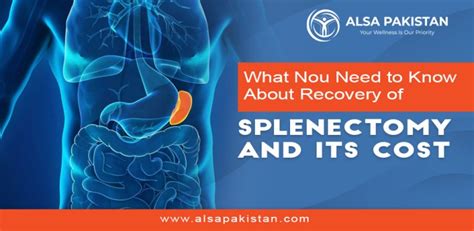 What You Need To Know About Recovery Of Splenectomy And Its Cost