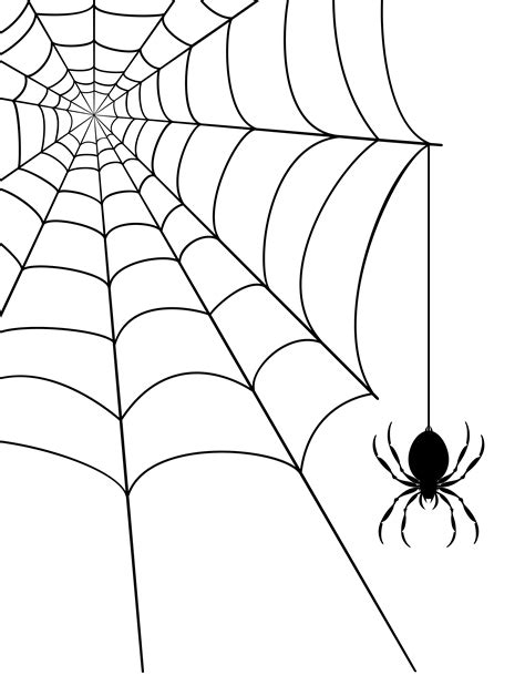 spider web stock vector illustration 515064 Vector Art at Vecteezy