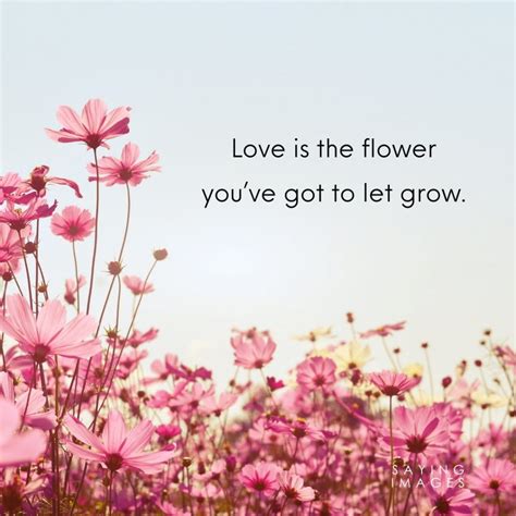 35 Beautiful Flower Quotes To Celebrate Life Hope And Love