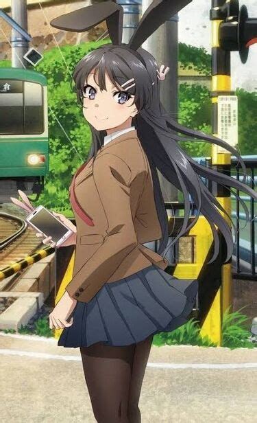 Mai Sakurajima Rascal Does Not Dream Of Bunny Girl Senpai Incredible Characters Wiki