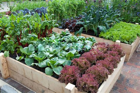7 Gorgeous Raised Bed Vegetable Gardens Off Grid World