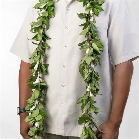 Rose petals for flower shower. Hawaiian Big Island Maile Lei with Tuberose (Pick up only ...