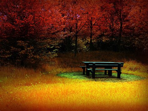 Free Tranquility Of Autumn Wallpaper Wallpapers Hd Wallpapers 83938