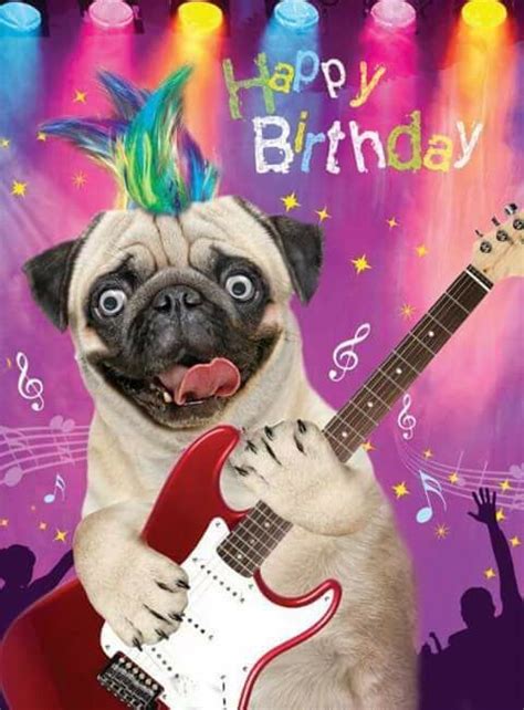 Dog Wishing you a Happy Birthday!!🎂 | Happy birthday pug, Funny happy