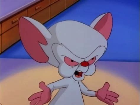 Watch Steven Spielberg Presents Pinky And The Brain The Complete First