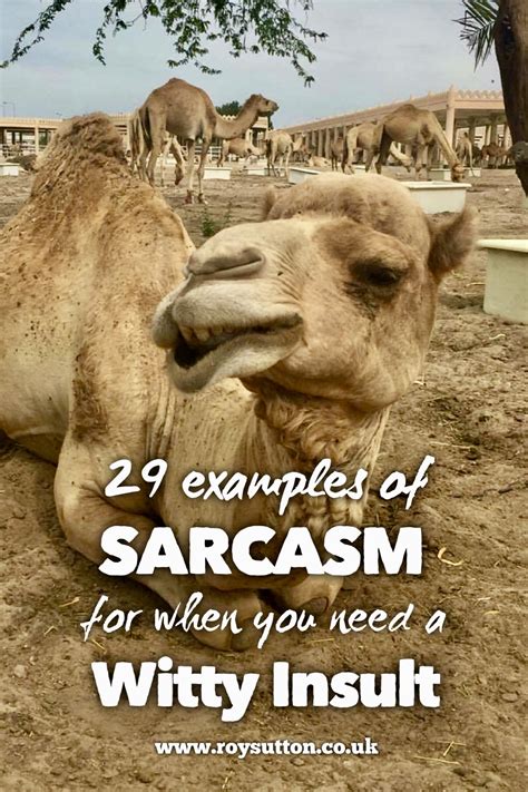 29 Examples Of Sarcasm For When You Need A Witty Insult Roy Sutton