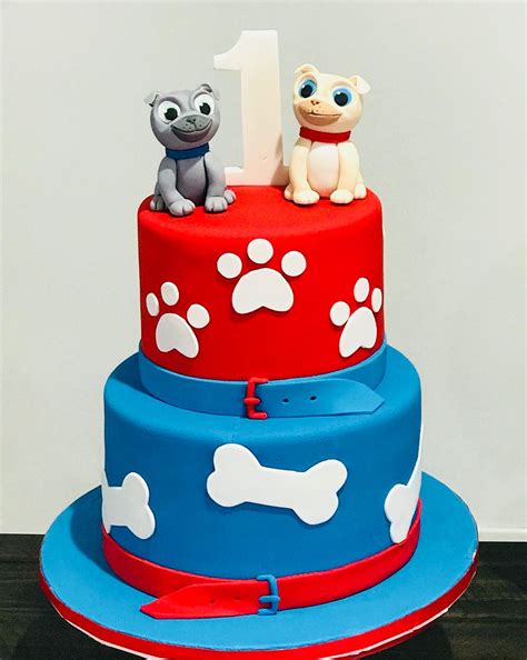 Hudson spent his birthday hiking in colorado with fellow fur friends. Pin by Claudia Angeles on Puppy Dog Pals in 2019 | Puppy birthday cakes, Puppy birthday, Dog ...
