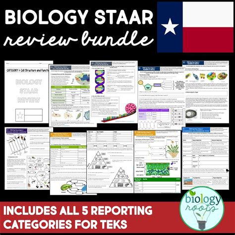 Which statement describes what will most likely occur in the rabbit population due to the introduction of the predator? Store | STAAR Biology Review BUNDLE Categories 1-5