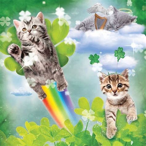 Ireland is home to many historic cities, fascinating landmarks and beautiful bodies of water that can be turned into cool cat names. Find Gold At The End Of The Rainbow With These 230 Irish ...