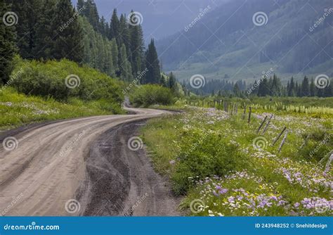 Scenic Back Road 734 Through Wildflower Meadows In Colorado Stock