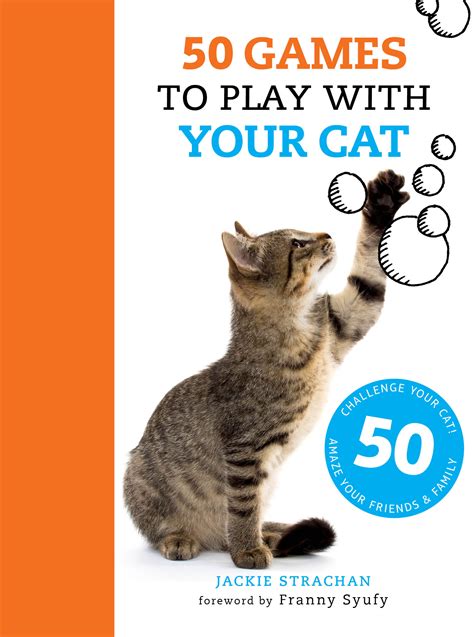 Games To Play With Your Cat On The Computer Cat Lovster