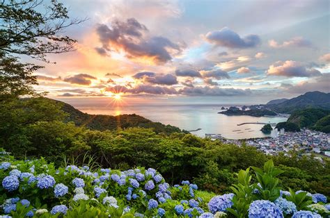 Japan Sunlight Trees Landscape Sunset Sea Flowers Cityscape Bay