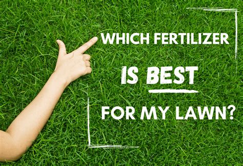 Check spelling or type a new query. Which Fertilizer Is Best For My Lawn? | ExperiGreen