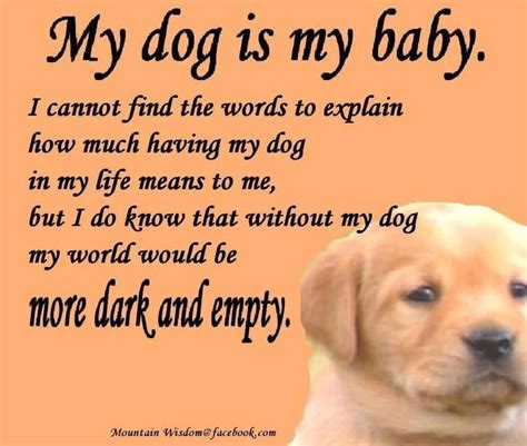 I Love My Dog Quotes 03 Quotesbae