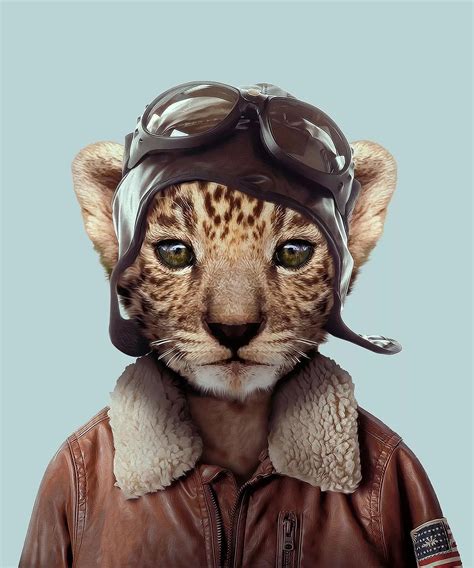 Zoo Animal Portraits By Yago Partal Cloud 9 Digital Design