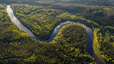 Drone Photo Nature River Forest Trees Xfxwallpapers