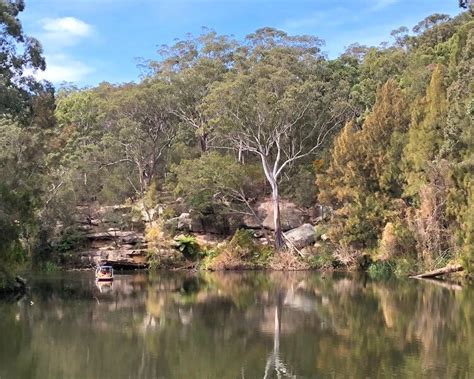 Hiking In Lane Cove National Park Sydney Uncovered