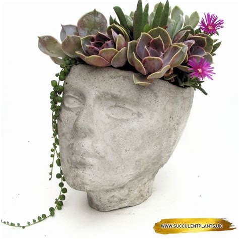 Zoe Xl Head Planter Handmade Unique Concrete Cement Grey Head