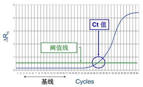 Before we dive into explaining what a ct value is, we want to take a moment to highlight that that value has been given multiple names over the years including: Ct值 - å®šé‡ pcrä¸­drnçš„å€¼æ⃜¯å¤šå°' B365å®⃜ç½ ...