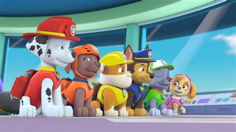 Paw Patrol Rubble On The Double Dvd 5 R1 Dual Latino 2020