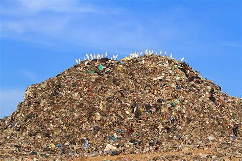 Best Garbage Mountain Stock Photos Pictures And Royalty Free Images Istock