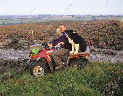 Farmer And Dog Stock Image E7701172 Science Photo Library