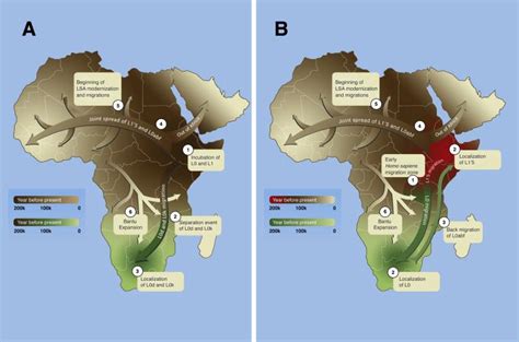 El Origen De Homo Sapiens Y Su Expansión Por El Continente Africano