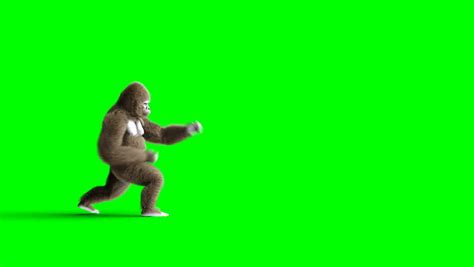 Green Screen Zoom Background Funny Images