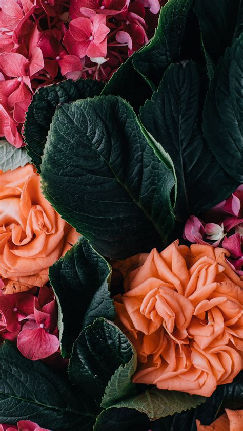 Let's celebrate this amazing news with 21 gorgeous wildflower iphone wallpapers. Vintage floral iPhone Wallpaper Collection | Preppy Wallpapers