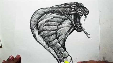 Gudskjelov 41 Lister Over Realistic Snakes Drawings Drawn Serpent Vrogue